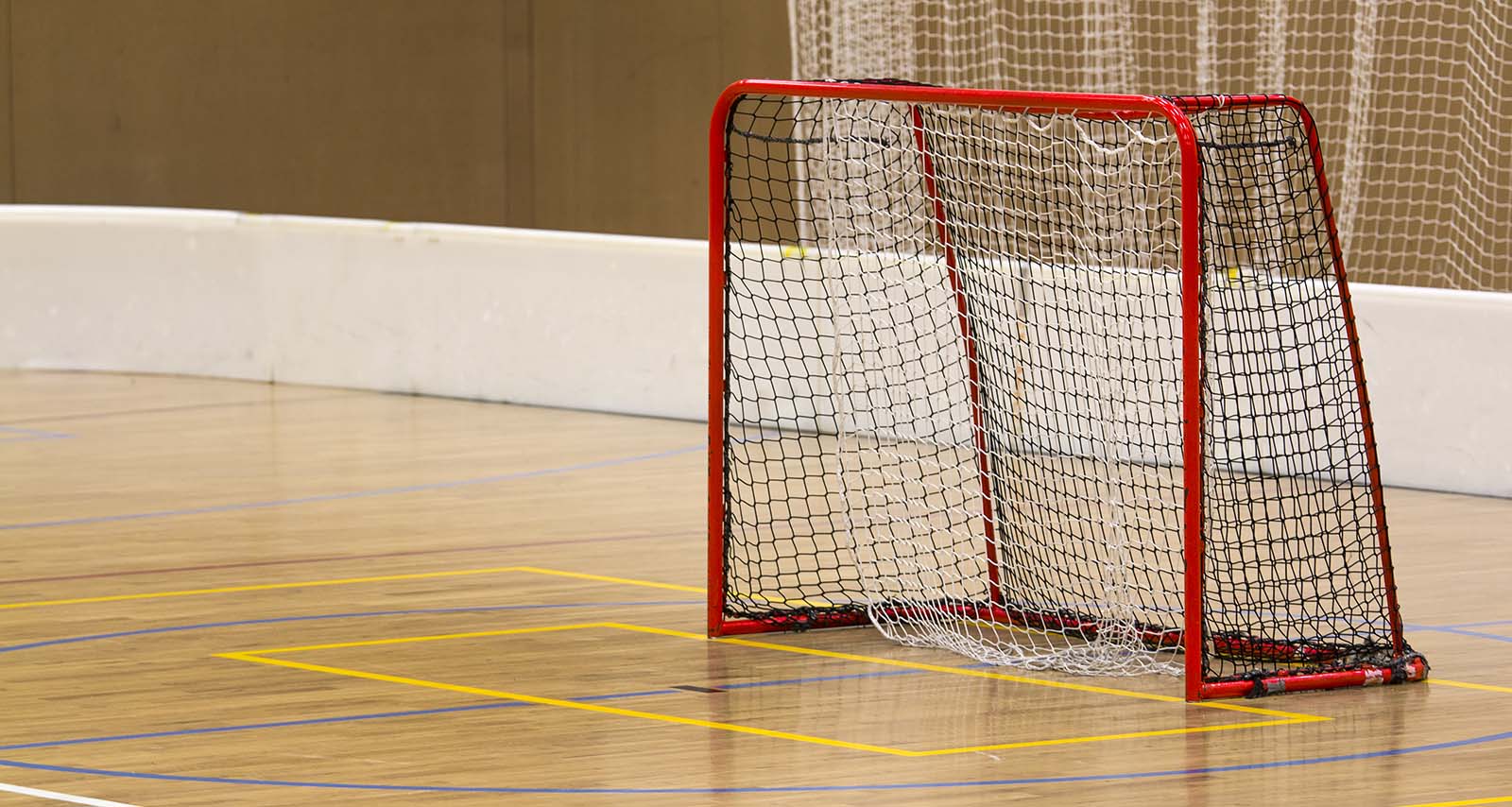 Floor Hockey in Bloomington, MN